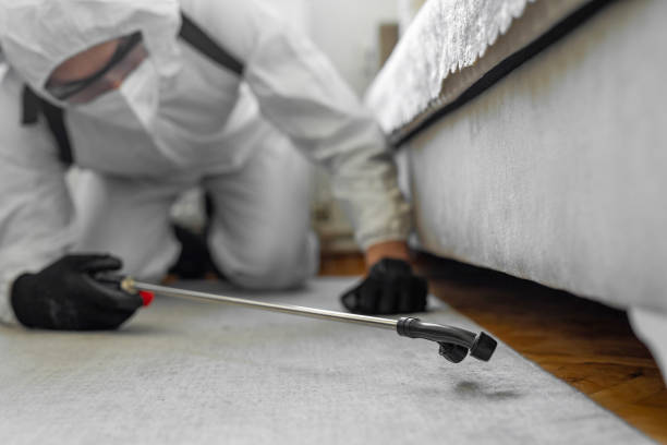 Professional Mosquito Control technician working in Devine, TX