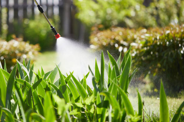 24/7 Emergency Mosquito Control experts in Devine, TX