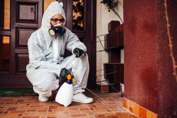 Reliable Mosquito Control contractor in Devine, TX by Nex Pest Control